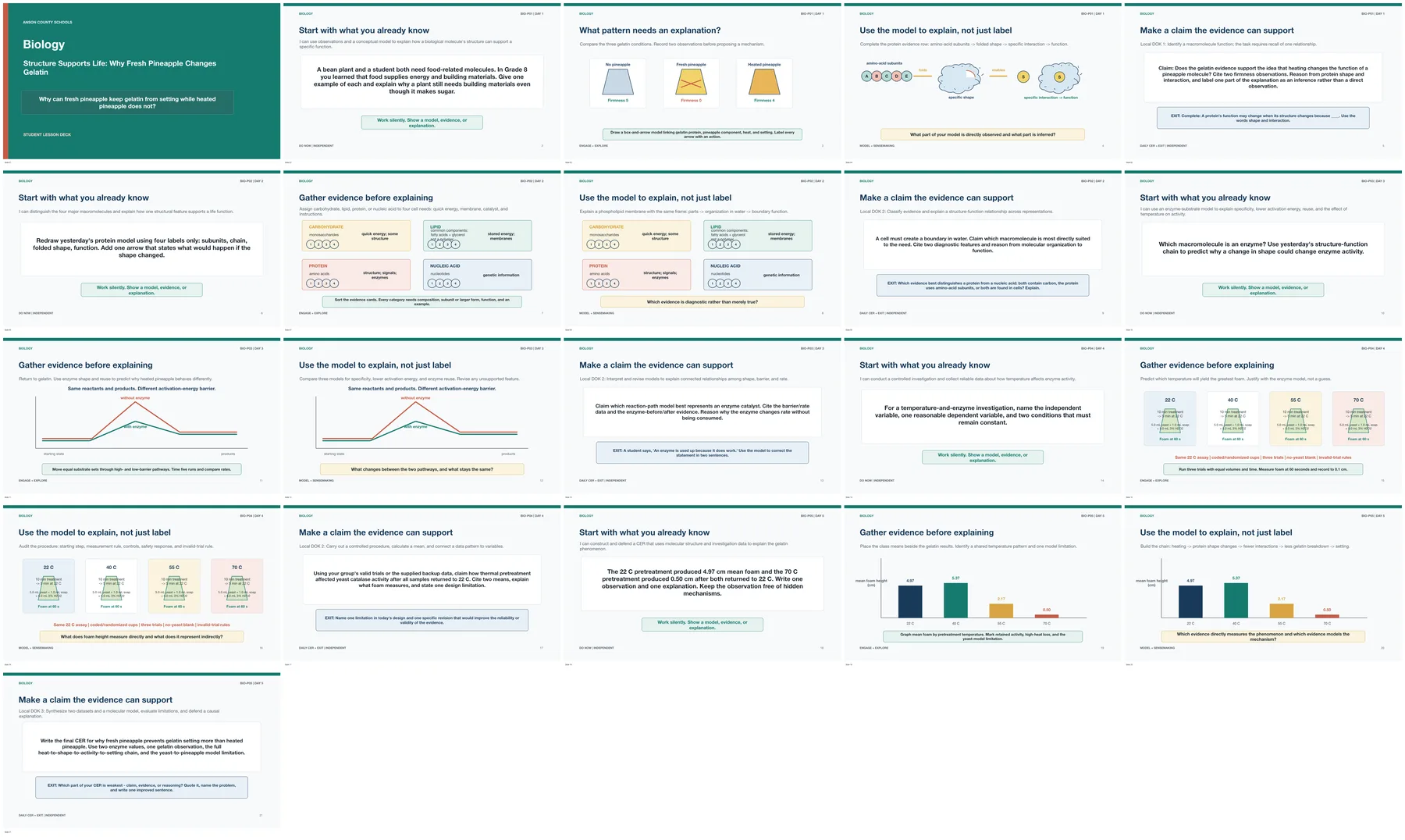 Contact sheet showing a complete standards-aligned Biology lesson slide sequence